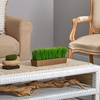 image:image12in Grass Artificial Plant in Decorative Planter