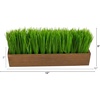 image:image12in Grass Artificial Plant in Decorative Planter