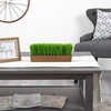 image:image12in Grass Artificial Plant in Decorative Planter
