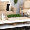 image:image19in Eucalyptus Artificial Plant in Decorative Planter19 in W x 5 in D x 8 in H Pack of 2