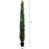image:imageNearly Natural 10 ft Artificial Cedar Pine Tree Outdoor Porch Decor