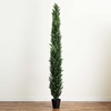 image:imageNearly Natural 10 ft Artificial Cedar Pine Tree Outdoor Porch Decor