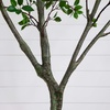 image:imageNearly Natural 10 ft Artificial Minimalist Citrus Tree Bendable Floor Plant10ft