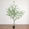 image:imageNearly Natural 10 ft Artificial Minimalist Citrus Tree Bendable Floor Plant10ft
