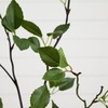 image:imageNearly Natural 10 ft Artificial Minimalist Citrus Tree Bendable Floor Plant4ft
