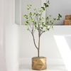 image:imageNearly Natural 10 ft Artificial Minimalist Citrus Tree Bendable Floor Plant4ft
