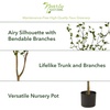 image:imageNearly Natural 10 ft Artificial Minimalist Citrus Tree Bendable Floor Plant5ft