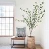 image:imageNearly Natural 10 ft Artificial Minimalist Citrus Tree Bendable Floor Plant6ft 6in