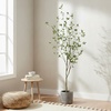 image:imageNearly Natural 10 ft Artificial Minimalist Citrus Tree Bendable Floor Plant6ft 6in