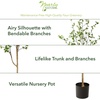 image:imageNearly Natural 10 ft Artificial Minimalist Citrus Tree Bendable Floor Plant6ft 6in