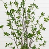 image:imageNearly Natural 10 ft Artificial Minimalist Citrus Tree Bendable Floor Plant6ft 6in