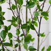 image:imageNearly Natural 10 ft Artificial Minimalist Citrus Tree Bendable Floor Plant7ft