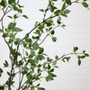 image:imageNearly Natural 10 ft Artificial Minimalist Citrus Tree Bendable Floor Plant7ft