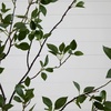 image:imageNearly Natural 10 ft Artificial Minimalist Citrus Tree Bendable Floor Plant8ft