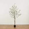 image:imageNearly Natural 10 ft Artificial Minimalist Citrus Tree Bendable Floor Plant8ft
