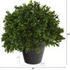 image:imageNearly Natural 10 in Artificial Boxwood Topiary Pot UV Resistant Fake Plant