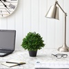 image:imageNearly Natural 10 in Artificial Boxwood Topiary Pot UV Resistant Fake Plant