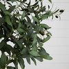 image:imageNearly Natural 10ft Artificial Olive Tree Green Plastic Iron Polyester Materials 3257 lbs