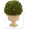 image:imageNearly Natural 12 in Artificial Boxwood Topiary Ball in Decorative Urn