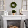 image:imageNearly Natural 12 in Artificial Boxwood Topiary Ball in Decorative Urn