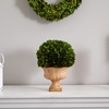 image:imageNearly Natural 12 in Artificial Boxwood Topiary Ball in Decorative Urn