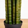 image:imageNearly Natural 12ft UV Resistant Artificial Areca Palm Tree IndoorOutdoor  Full Canopy of Fronds Inspired by Florida Coast