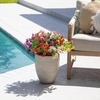 image:imageNearly Natural 13in UV Resistant Artificial Daisy Bush IndoorOutdoor  Set of 12Assorted 1