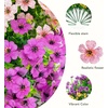 image:imageNearly Natural 13in UV Resistant Artificial Daisy Bush IndoorOutdoor  Set of 12Assorted 1