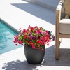 image:imageNearly Natural 13in UV Resistant Artificial Daisy Bush IndoorOutdoor  Set of 12Assorted 3