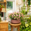 image:imageNearly Natural 13in UV Resistant Artificial Daisy Bush IndoorOutdoor  Set of 12Pink