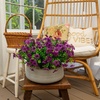image:imageNearly Natural 13in UV Resistant Artificial Daisy Bush IndoorOutdoor  Set of 12Purple