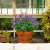 image:imageNearly Natural 13in UV Resistant Artificial Flowering Lavender Bush IndoorOutdoor  Set of 12