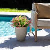 image:imageNearly Natural 13in UV Resistant Artificial Flowering Mini Rose Bush IndoorOutdoor  Set of 12Pink