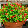 image:imageNearly Natural 13in UV Resistant Artificial Flowering Mini Rose Bush IndoorOutdoor  Set of 12Red
