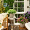 image:imageNearly Natural 13in UV Resistant Artificial Flowering Mini Rose Bush IndoorOutdoor  Set of 12White