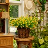 image:imageNearly Natural 13in UV Resistant Artificial Flowering Mini Rose Bush IndoorOutdoor  Set of 12Yellow