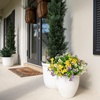 image:imageNearly Natural 13in UV Resistant Artificial Pansy Bush IndoorOutdoor  Set of 12Assorted 1