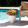 image:imageNearly Natural 13in UV Resistant Artificial Pansy Bush IndoorOutdoor  Set of 12Assorted 2