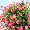 image:imageNearly Natural 13in UV Resistant Artificial Pansy Bush IndoorOutdoor  Set of 12Pink