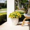 image:imageNearly Natural 13in UV Resistant Artificial Pansy Bush IndoorOutdoor  Set of 12Yellow