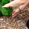 image:imageNearly Natural 14in UV Resistant Artificial Grass Garden Plush Topiary Bear  IndoorOutdoor