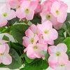 image:imageNearly Natural 14in UV Resistant Artificial Hydrangea Bush IndoorOutdoor  Set of 6Pink