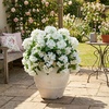 image:imageNearly Natural 14in UV Resistant Artificial Hydrangea Bush IndoorOutdoor  Set of 6White