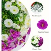 image:imageNearly Natural 14in UV Resistant Artificial Morning Glory Bush IndoorOutdoor  Set of 12Assorted 1