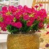 image:imageNearly Natural 14in UV Resistant Artificial Morning Glory Bush IndoorOutdoor  Set of 12Fuchsia