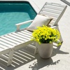 image:imageNearly Natural 14in UV Resistant Artificial Morning Glory Bush IndoorOutdoor  Set of 12Yellow
