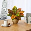 image:imageNearly Natural 15in Garden Croton Artificial Plant in Ceramic Planter Real Touch