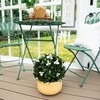 image:imageNearly Natural 15in UV Resistant Artificial Boxwood Gardenia Topiary Plant  IndoorOutdoor