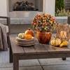 image:imageNearly Natural 16in Mixed Fall Mum UVResistant Outdoor Porch Decor