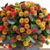image:imageNearly Natural 16in Mixed Fall Mum UVResistant Outdoor Porch Decor